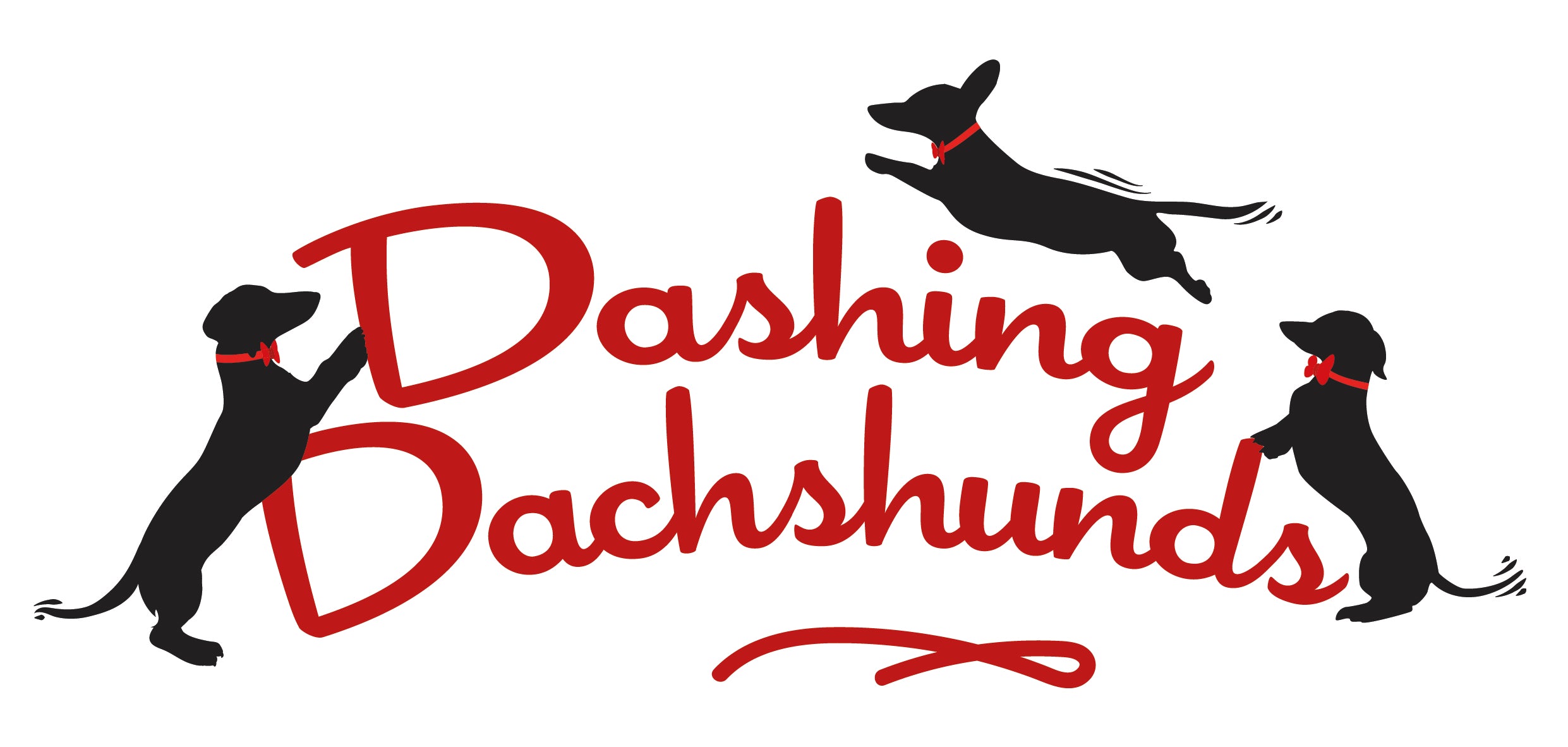 Dashing Dachshund mini dachshund coats & fleeces